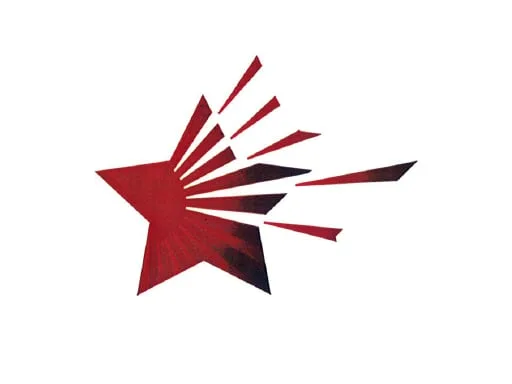 Star Custom Moving And Storage